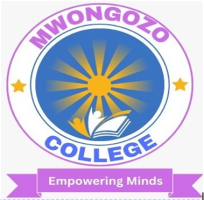 MWONGOZO MTC E-LEARNING
